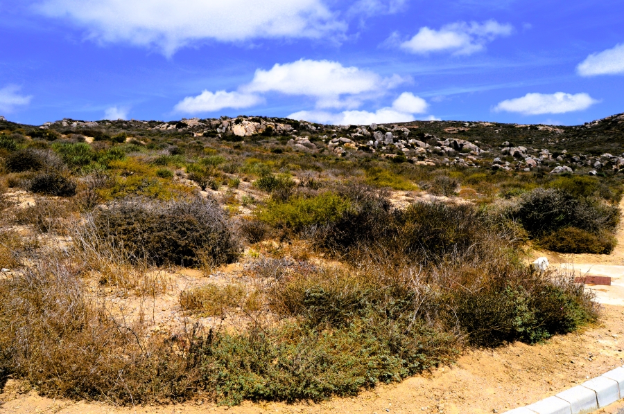 0 Bedroom Property for Sale in Steenbergs Cove Western Cape